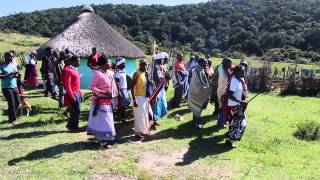 Xhosa traditional event  Lubanzi Eastern Cape South Africa [upl. by Navets]