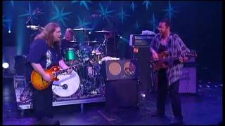 Govt Mule  Beautifully Broken Warren Haynes [upl. by Nired]