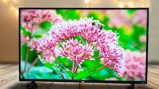 TCL 43 Inch 4K Roku TV Review [upl. by Midis915]