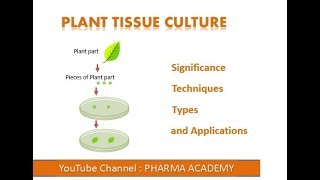 Plant Tissue Culture [upl. by Moises]