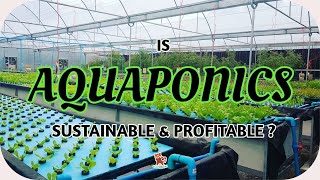 Is Commercial Aquaponics Sustainable amp Profitable   Agriculture [upl. by Prady491]