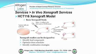 Altogen Labs HCT116 Xenograft Service Colon Cancer [upl. by Reid768]