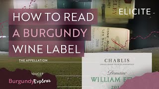 How To Read A Burgundy Wine Label [upl. by Ajay]