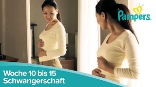 Schwangerschaftswoche 10 bis 15  Anzeichen und Symptome  Pampers [upl. by Sitruc]