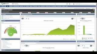 NetSuite Overview and Demo [upl. by Adnalra868]