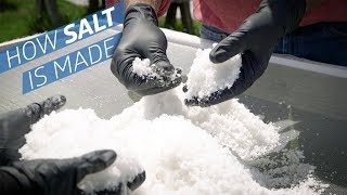 Where Does Salt Come From — How to Make It [upl. by Ffirahs808]