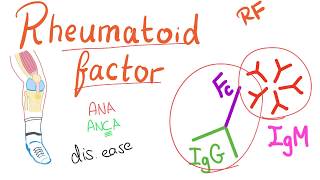 Rheumatoid Factor RF  Rheumatoid Arthritis RA  Joint disease Rheumatology series [upl. by Asin]