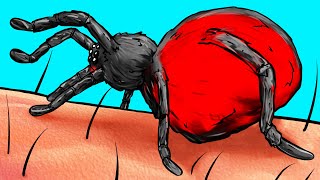 O Que Acontece Com Seu Corpo Quando É Picado Por Uma Aranha [upl. by Wye]