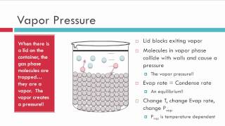 Evaporation Vapor Pressure and Boiling [upl. by Eilraep642]