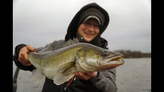 Gummifisch vs Köderfisch So ticken Zander im Natursee [upl. by Hniv]