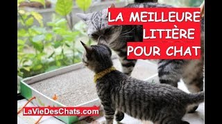 La litière pour chat recommandée 🐱 Le test [upl. by Silvers935]