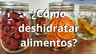 ¿Cómo deshidratar alimentos [upl. by Frantz]