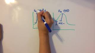 Activation Energy and Catalysts [upl. by Vivyanne]