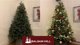 Balsam hill Christmas tree [upl. by Norej]