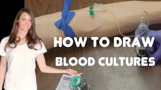 How to Collect Blood Cultures [upl. by Fafa963]