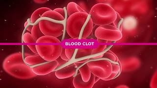 Coagulation Cascade Explained [upl. by Cortie]