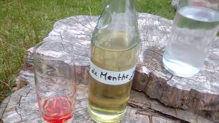 FAIRE SON SIROP DE MENTHE OU DE VERVEINE BIO   RECETTE [upl. by Townshend]