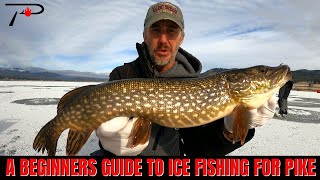 A Beginners Guide To Ice Fishing For Pike [upl. by Nagem579]