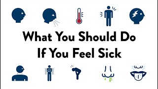 What You Should Do If You feel Sick  For Students [upl. by Uund934]