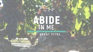 Abide in Me  The Vine and the Branches [upl. by Naejeillib]