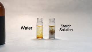 Iodine Test for Starch Technical Guide [upl. by Edny744]