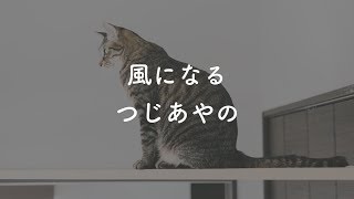 【カラオケ】風になる  つじあやの【Offvocal】 [upl. by Aseretairam]