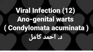 12 Anogenital warts  Condylomata acuminata  👉Viral Infection by Dr Ahmed Kamel [upl. by Mcleod]