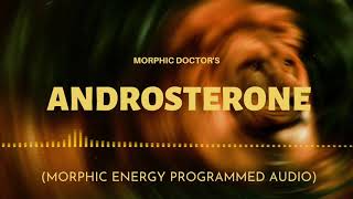 Androsterone pheromone boost morphic energy programmed [upl. by Yenffad]