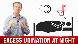 How to Fix Frequent Urination at Night Nocturia – Dr Berg [upl. by Ajile]