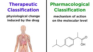 Categorizing Drugs Classes Names and Schedules [upl. by Ahsin223]