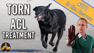 The Best Torn Dog ACL Treatment  Surgery or Home Management  Dog Care Vet Advice [upl. by Kernan]