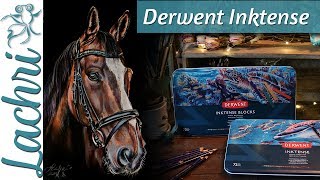 Derwent Inktense Realistic Painting Tips  Lachri [upl. by Gabriello]