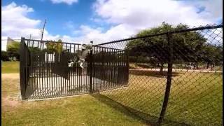 Siberian Husky Climbing a 6ft Fence [upl. by Jara]