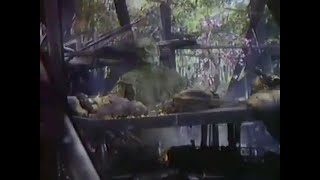 Swamp Thing 1981  TV Spot Now Showing [upl. by Morganstein]