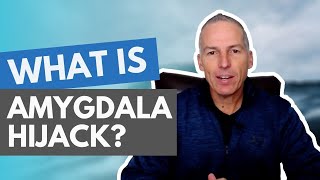 How to Stay in Control in Stressful Situations Amygdala Hijacking Explained [upl. by Alaikim]