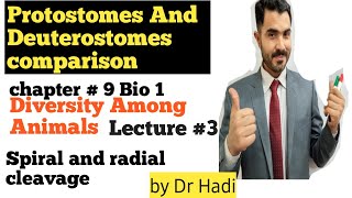 L5 Detailed explanation of comparison between Protostomes and Deuterostomes [upl. by Alguire]