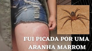 PICADA DE ARANHA MARROM 🕷 [upl. by Normac89]