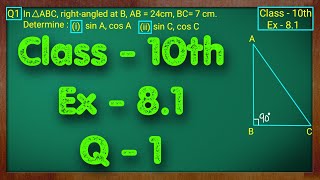 Class  10 Ex  81 Q1 Maths Trigonometry NCERT CBSE [upl. by Llevron92]