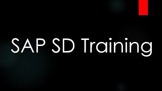 SAP ECC SD Training  Introduction to ERP and SAP SD Video 1  SAP SD Sales and Distribution [upl. by Mabel]