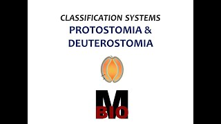 CLASSIFICATION SYSTEMSPROTOSTOMIA amp DEUTEROSTOMIA [upl. by Anurag]