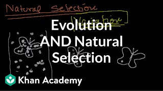 Introduction to Evolution and Natural Selection [upl. by Reinaldo978]