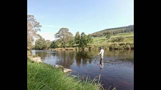 Grayling Fishing On The River Wharfe [upl. by Muriah]