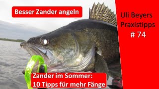 Zander Angeln 10 Tipps für Zander im Juni und Sommer [upl. by Janis]