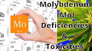 Molybdenum Mo  Deficiencies amp Toxicities in Plants Pt 1 [upl. by Ahsenar]