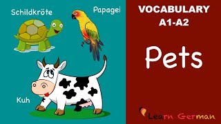 Learn German  German Vocabulary  Haustiere  Pets  A1 [upl. by Alfreda688]