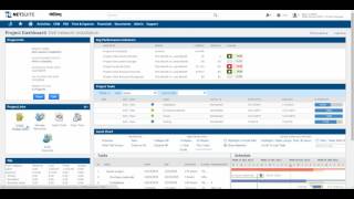 NetSuite Project Dashboard Demo [upl. by Anuait]