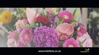 Interflora  The Flower Experts [upl. by Anomis]