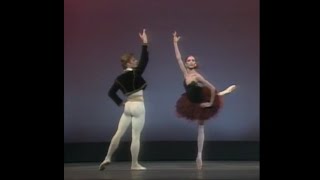 Mikhail Baryshnikov and Gelsey Kirkland  Don Quixote PDD 1976 [upl. by Ennaul]