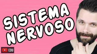 SISTEMA NERVOSO  FISIOLOGIA  Aula  Biologia com Samuel Cunha [upl. by Sou427]