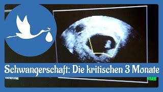 Schwangerschaft Die ersten 3 kritischen Monate [upl. by Krystle]